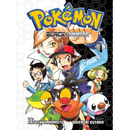 Pokemon Black & White 01